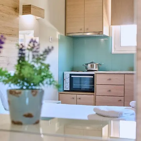 Emmanouela's Apts Appartement